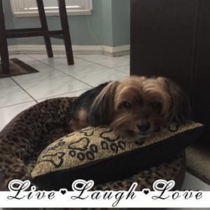 Meet your Posher, Jo ann